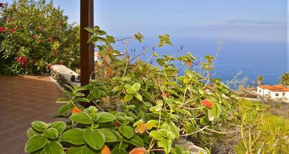 Miramar A - Bungalow Miramar