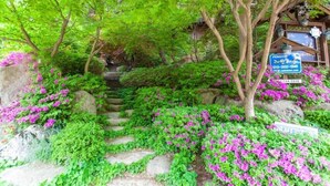 Property entrance - Cabin Town Pension (Hoengseong)