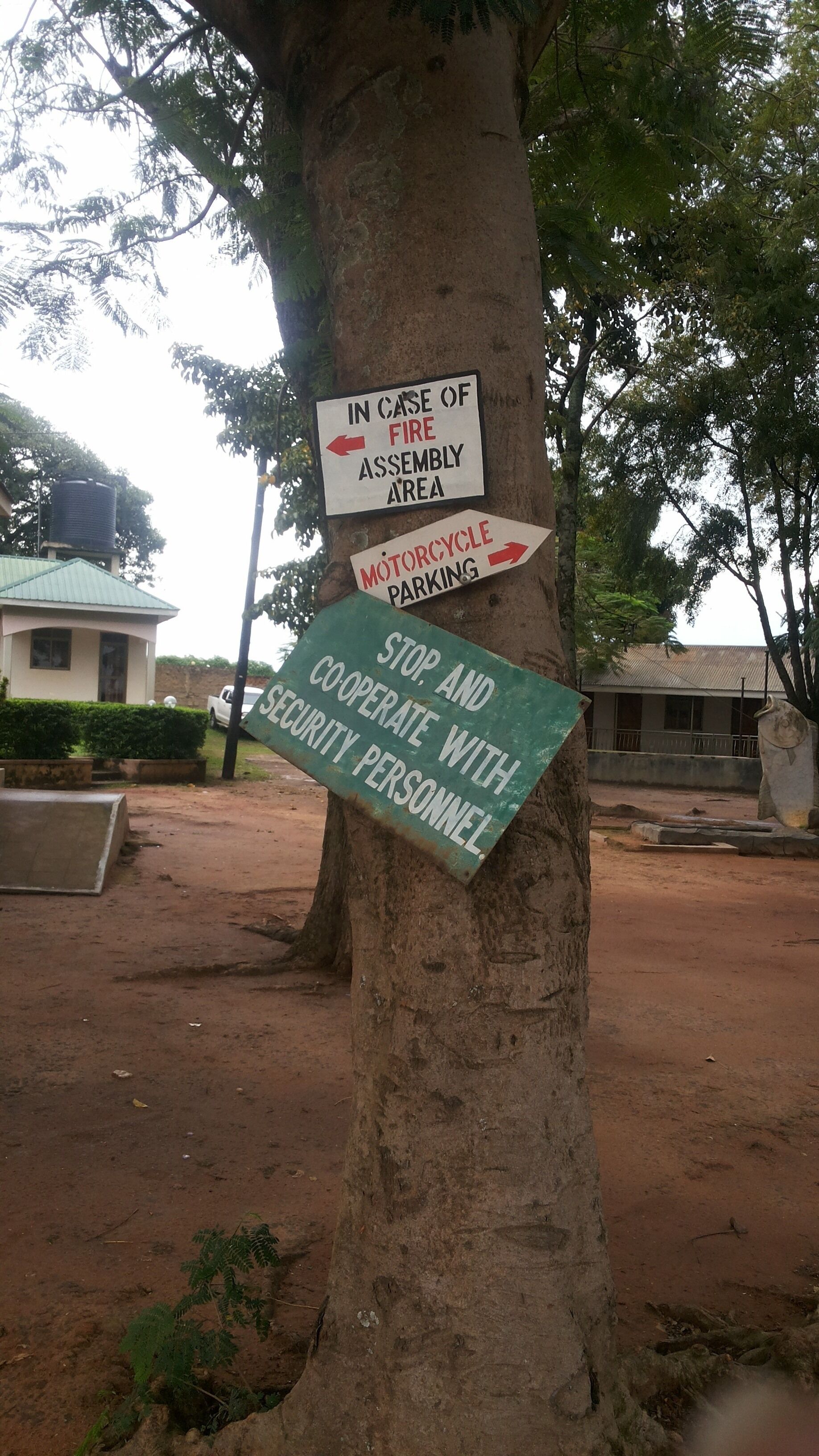 A tree with three signs attached to it.