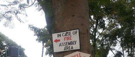 A tree with three signs attached to it.