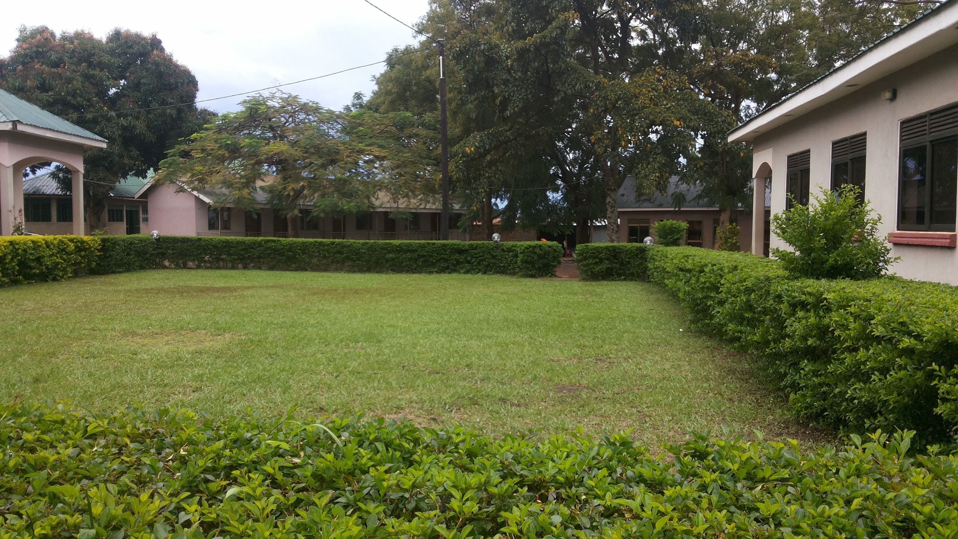 A courtyard with a lawn, surrounded by hedges and trees, and buildings with windows and a roof.