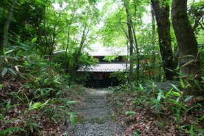 Un edificio japonés tradicional rodeado de un bosque frondoso.