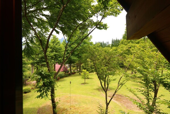 Land view from property