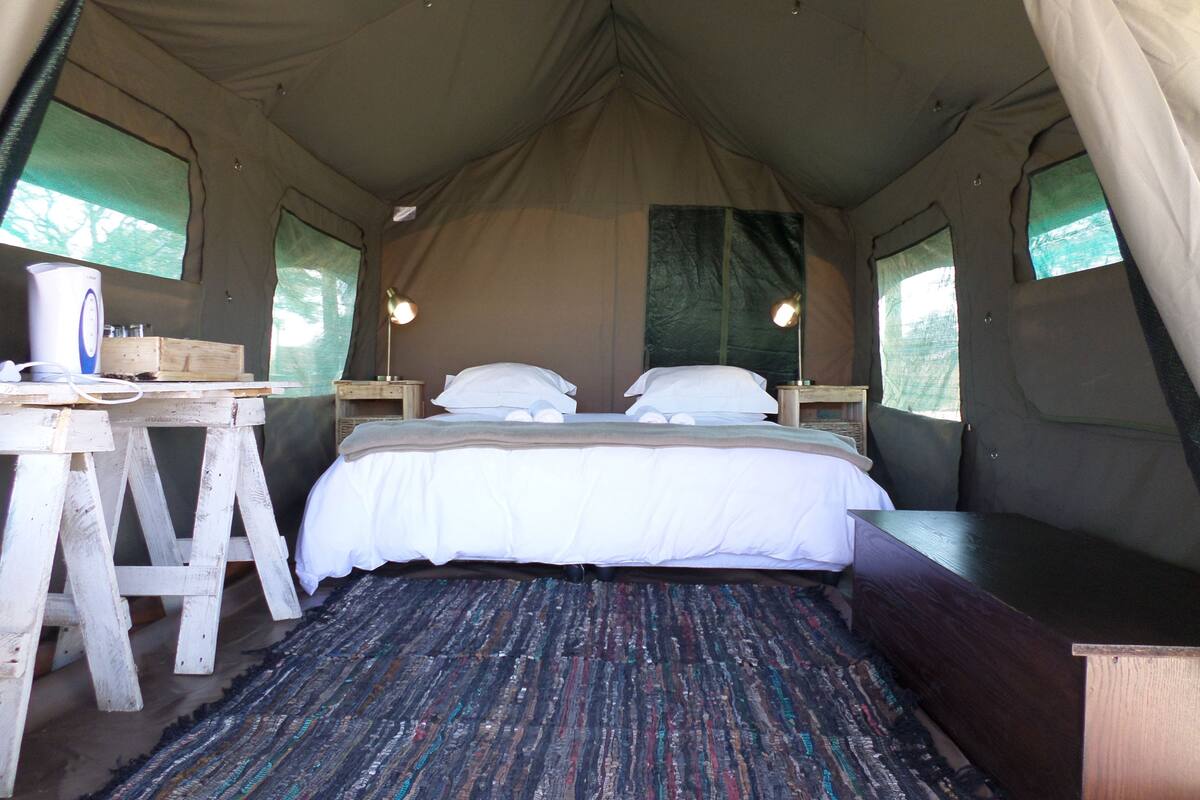 Comfort Tent, 1 Bedroom