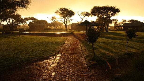 A paved pathway leading through a grassy area with trees and a thatched-roof structure. - OUT OF Nature Country Lodge (Windhoek)