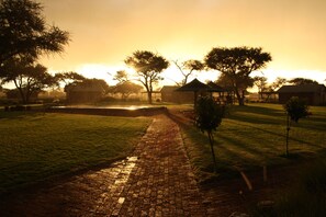A paved pathway leading through a grassy area with trees and a thatched-roof structure. - OUT OF Nature Country Lodge (Windhoek)