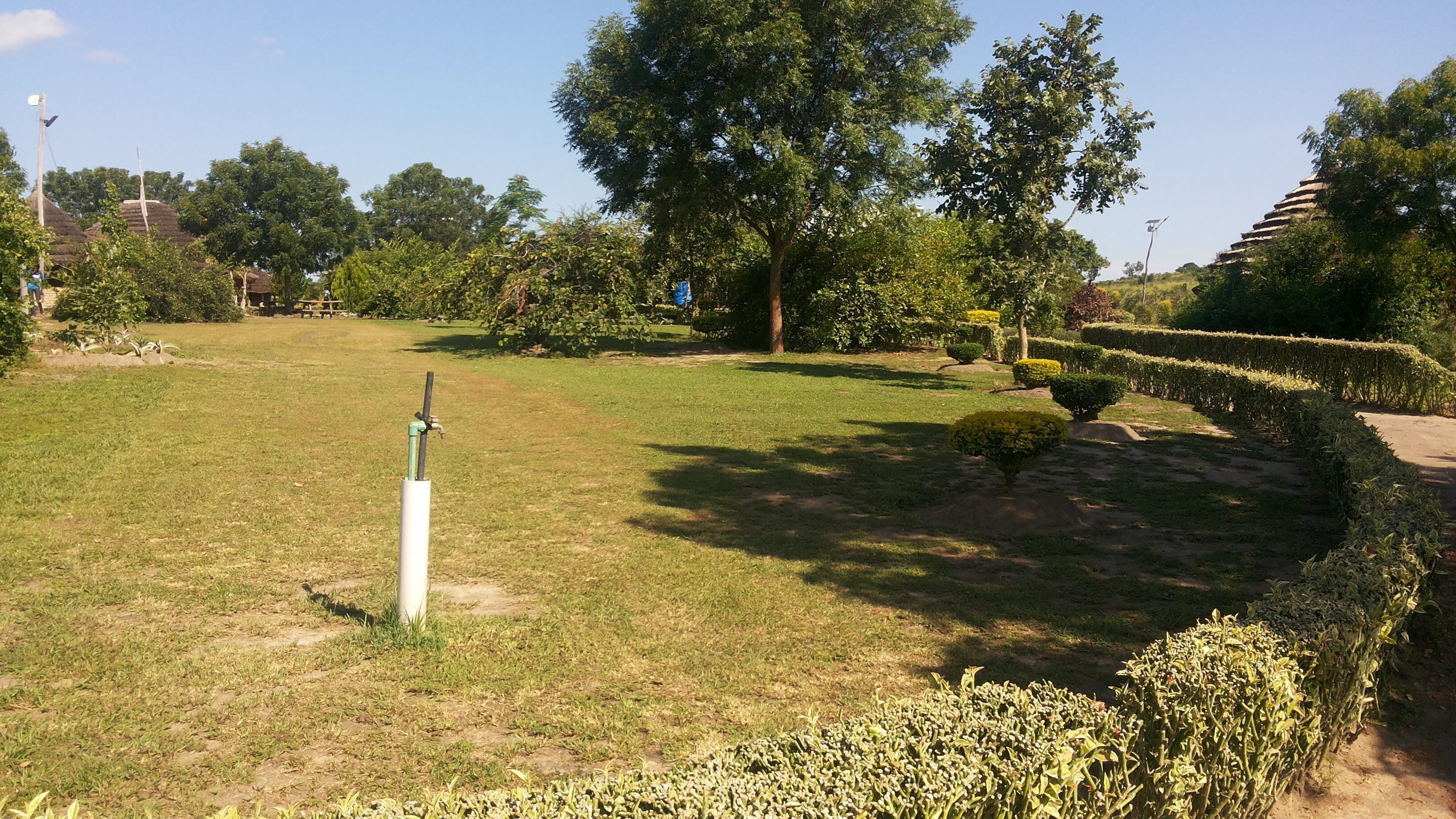 A well-maintained garden with manicured lawns, a variety of trees, and a clear sky.
