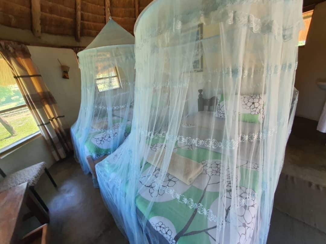 Dos camas con mosquiteras, un banco de madera y una ventana con vistas a la vegetación.