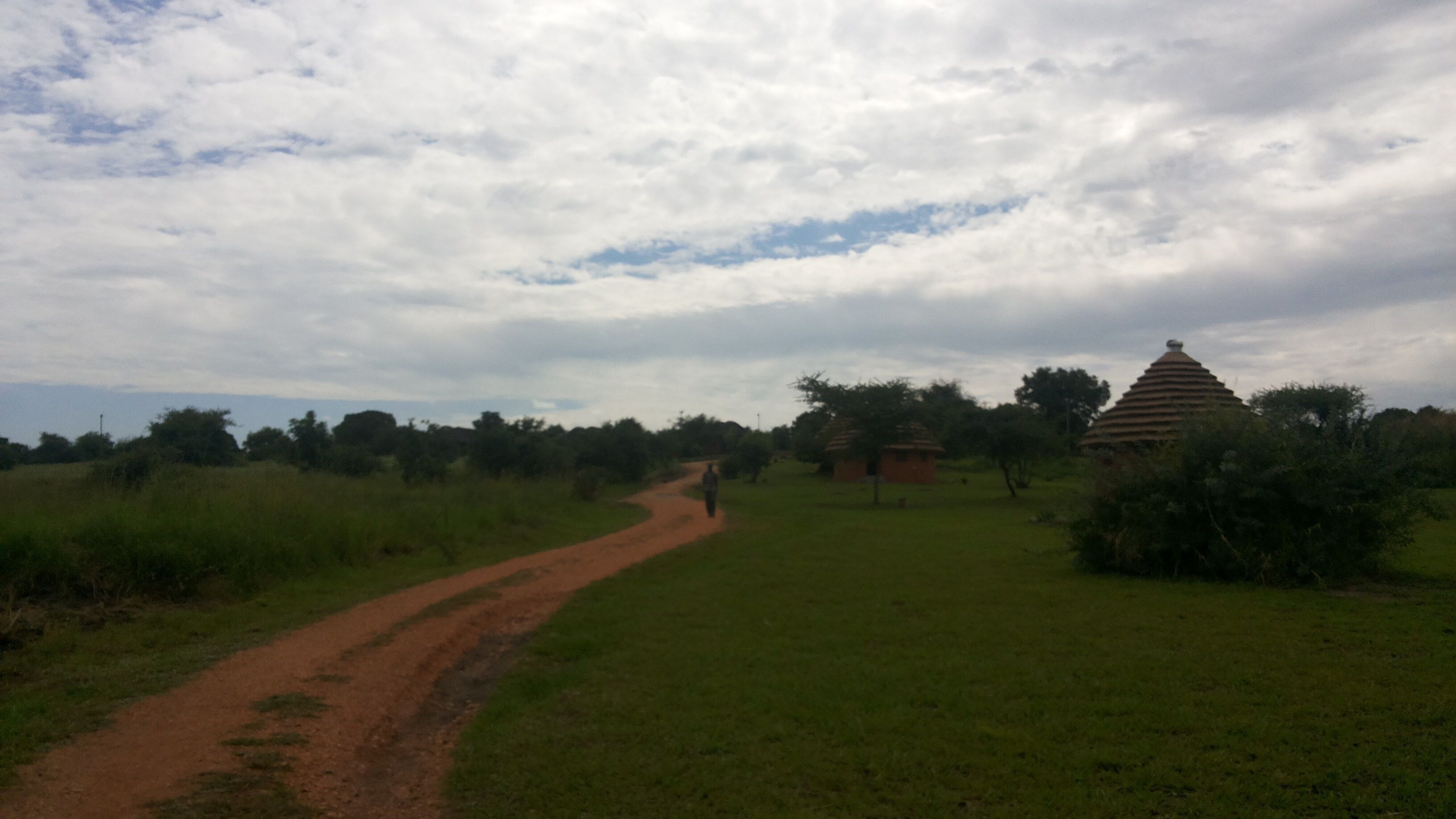A rural landscape with a dirt path leading to a traditional hut.