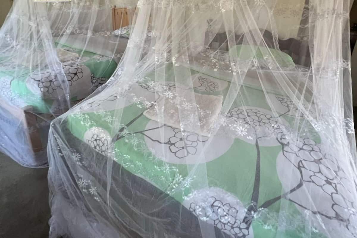 Two beds with canopy beds in a room with a thatched roof.