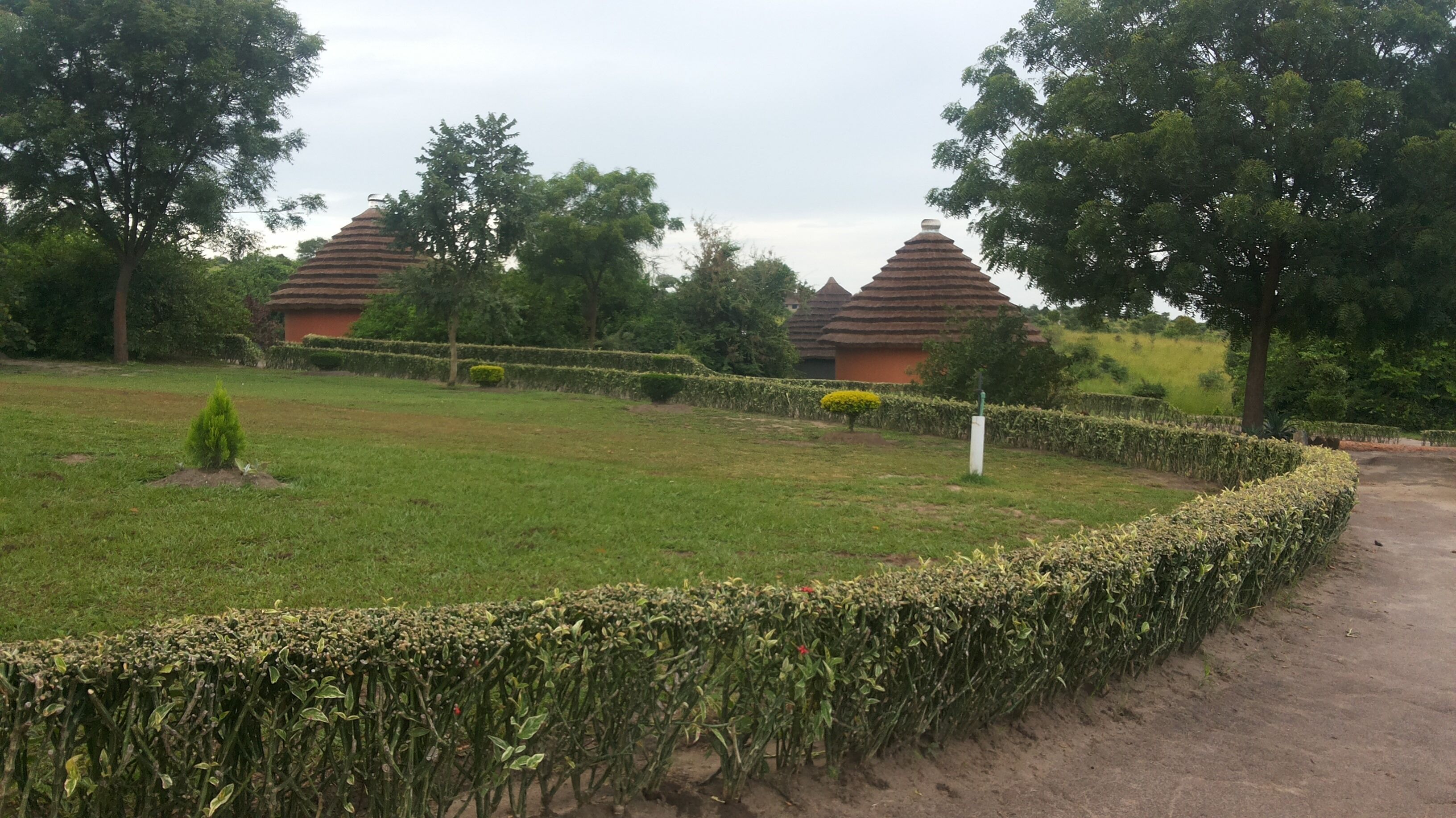 Taman