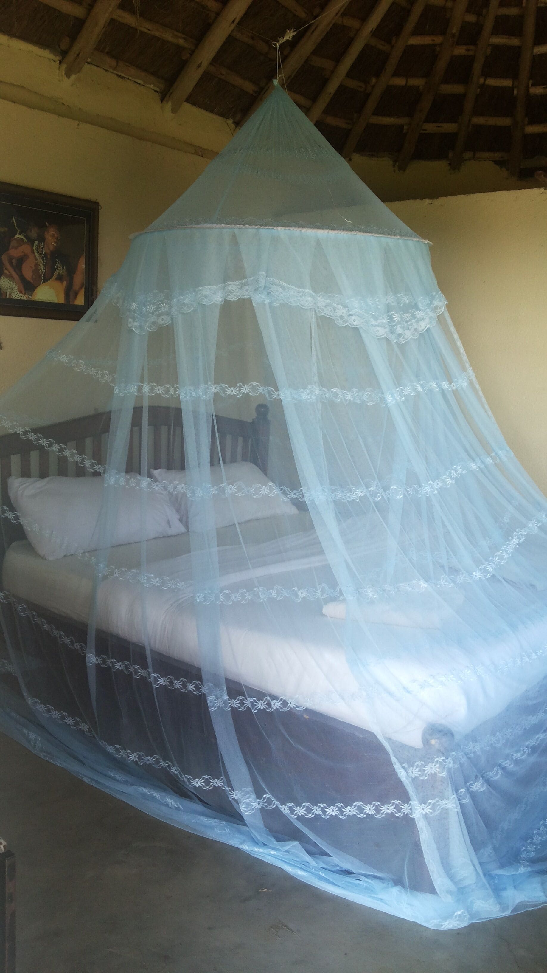 A bed with a mosquito net and pillows.