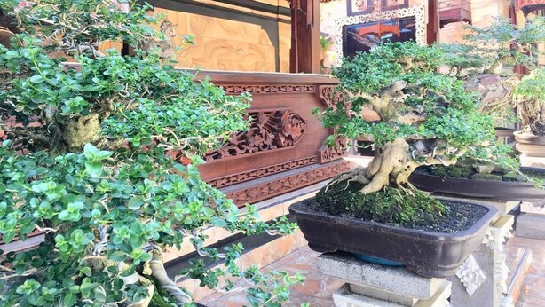 A traditional Japanese-style building with intricate wooden carvings and a covered roof. - Mikuk Homestay (Canggu)