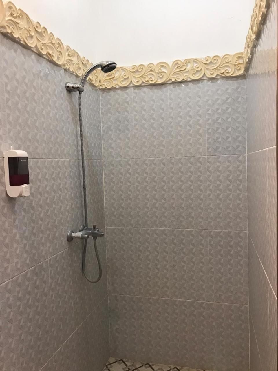 A shower area with a handheld showerhead, a wall-mounted soap dispenser, and patterned tiles.