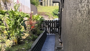 A narrow pathway with a concrete border, flanked by plants and a wooden fence.