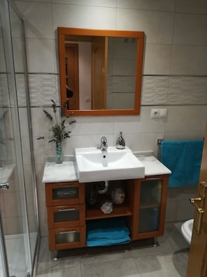 Shower, hair dryer, bidet, towels