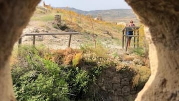 Una abertura circular de piedra con vistas a un paisaje rural, que incluye un muro de piedra, vegetación y una estructura distante.