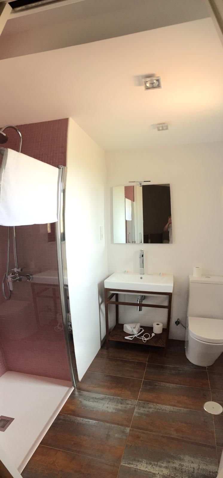 A bathroom with a shower, sink, toilet, and a mirror.