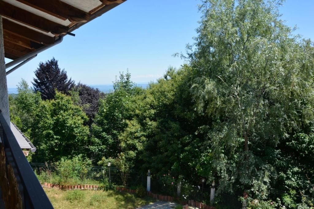 Blick auf eine üppige grüne Landschaft mit Bäumen und blauem Himmel.