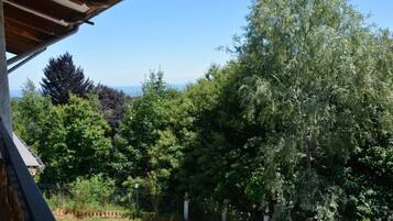 Blick auf eine üppige grüne Landschaft mit Bäumen und blauem Himmel.
