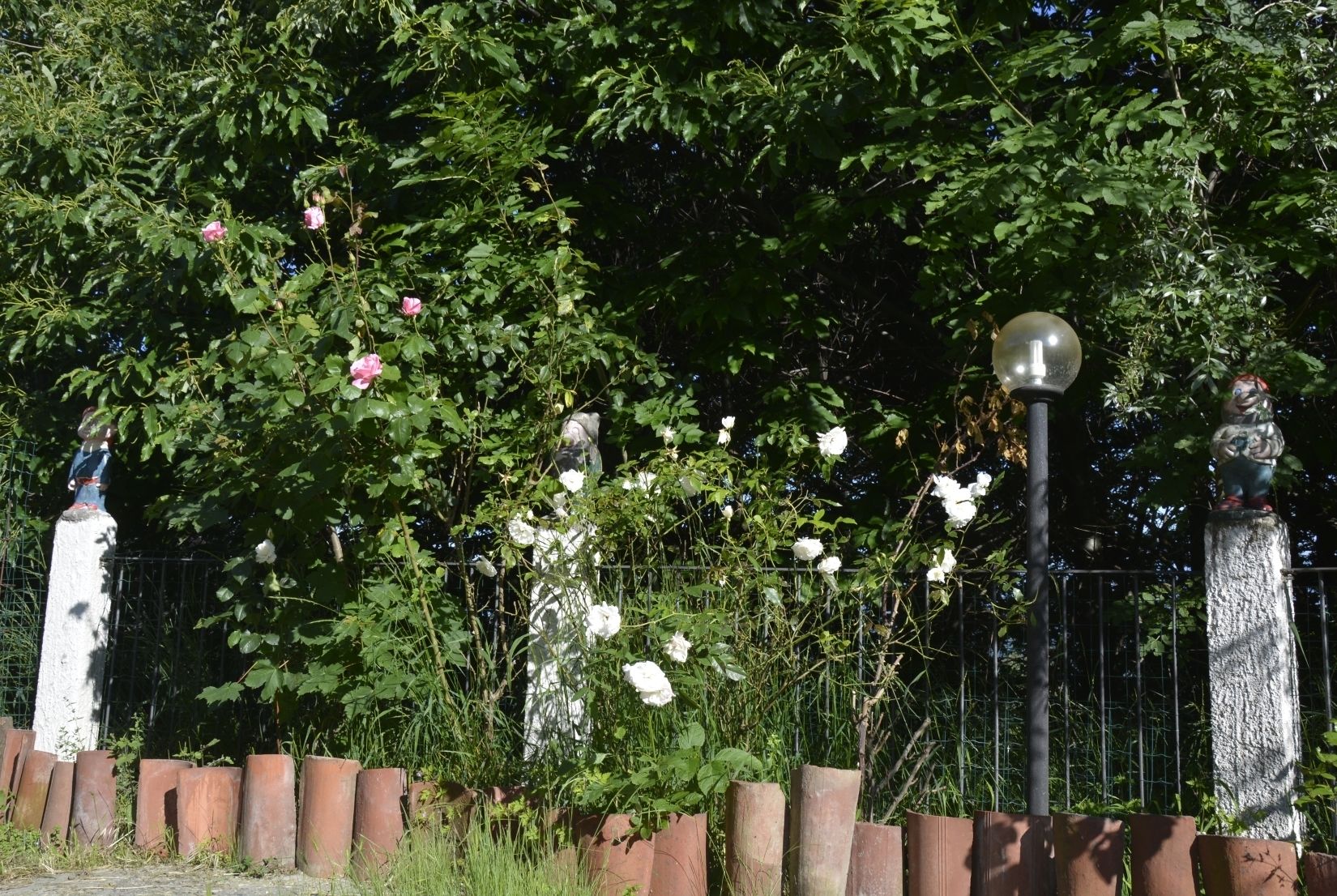 A garden with white roses, a statue, and a lamp post.