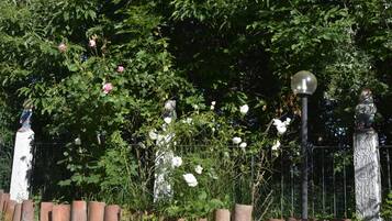 A garden with white roses, a statue, and a lamp post.