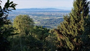 A panoramic view of a mountainous landscape with dense forest and a distant cityscape. - Casa Omnia B&B (Castellamonte)