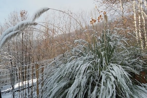 Property grounds - Casa Omnia B&B (Castellamonte)