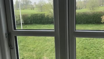 A window with a view of a green lawn and trees.