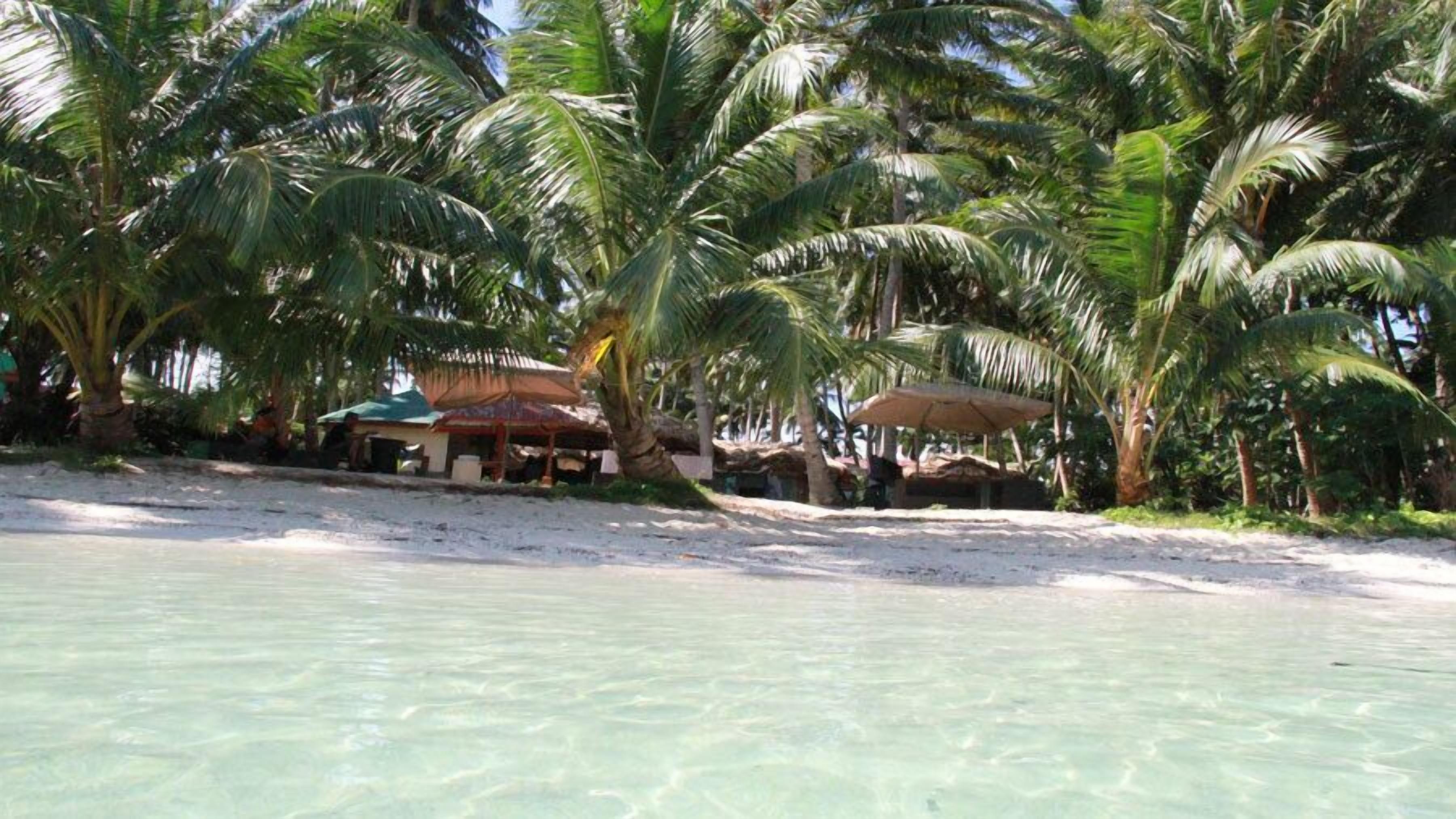 Playa privada, arena blanca y bar en la playa