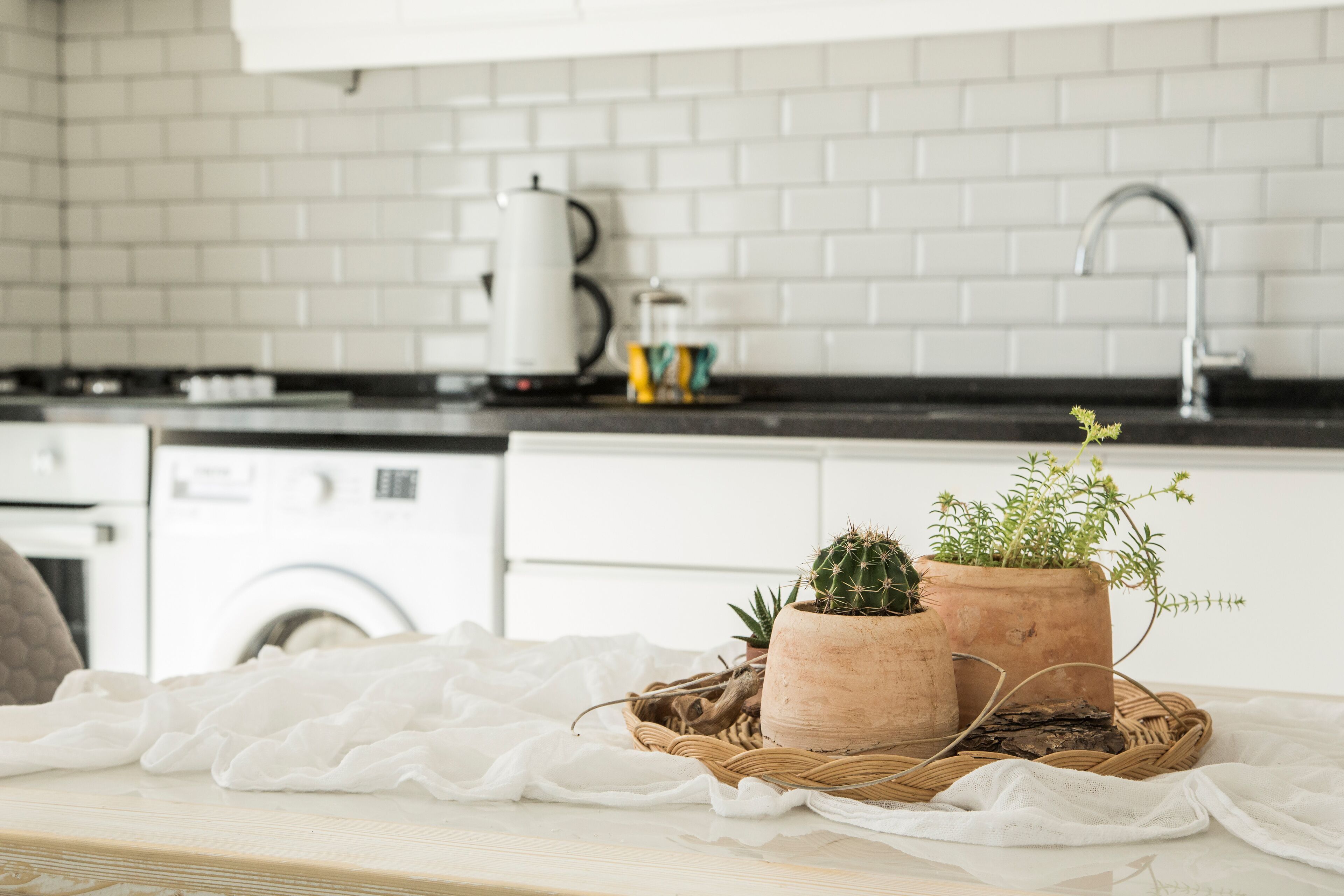 Uma cozinha com painel de azulejos branco, uma cafeteira e plantas em vasos sobre o balcão.