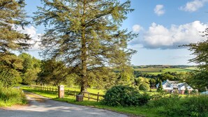 A rural road leading to a house surrounded by trees and greenery. - Coombe Farm (Looe)
