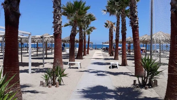 A beach walkway lined with palm trees and thatched umbrellas, leading to a beach area. - Gazebo Rooms (Margherita di Savoia)