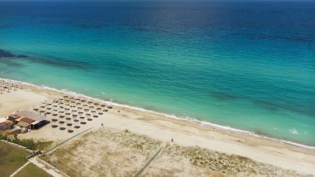 Vista aérea de una playa con una fila de sombrillas y un edificio, probablemente un hotel, con una vista despejada del océano.