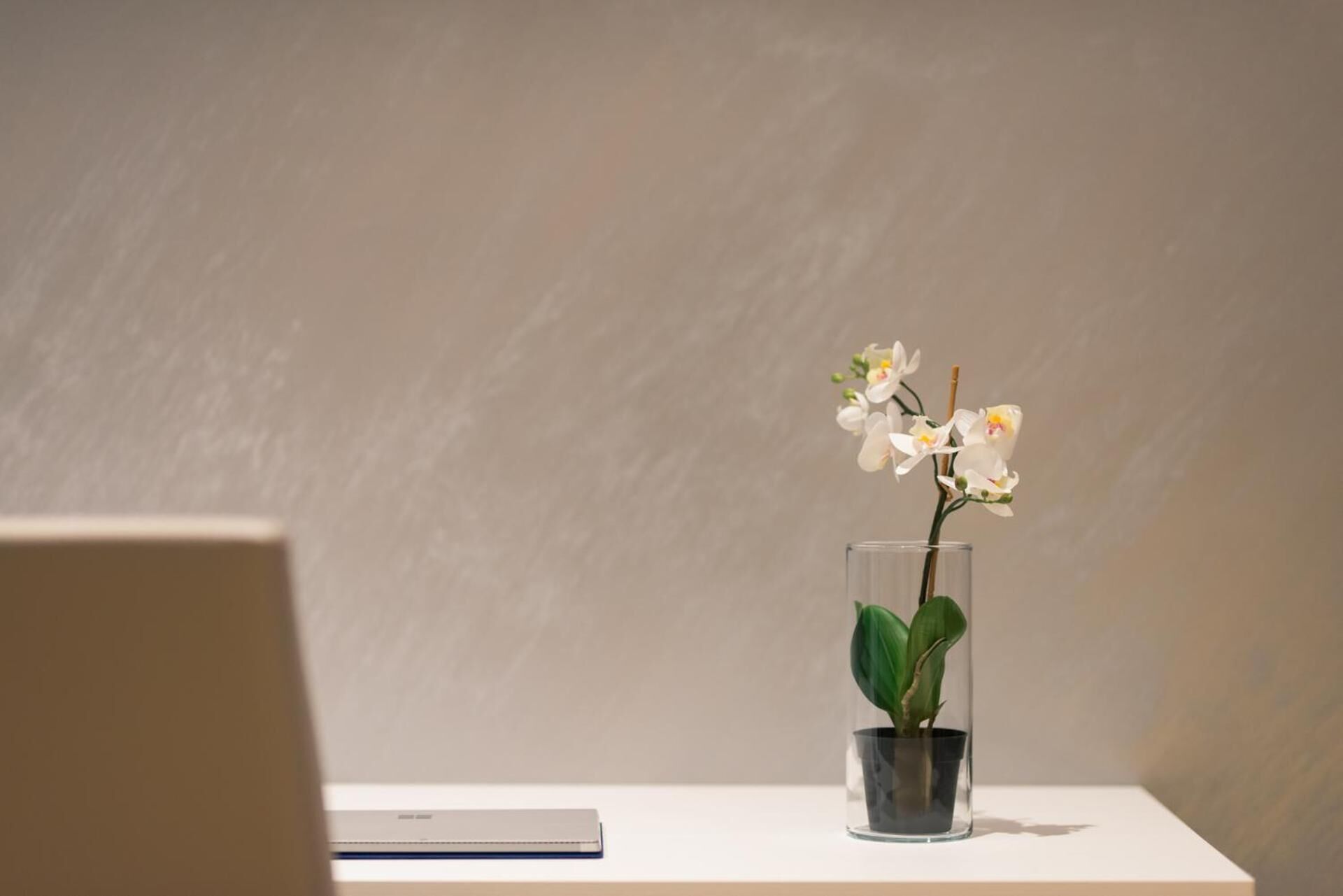 A laptop on a white surface with a potted orchid in a clear glass vase.