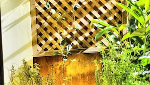 Un panel de madera con celosía, plantas trepadoras, plantas en macetas y una pared.