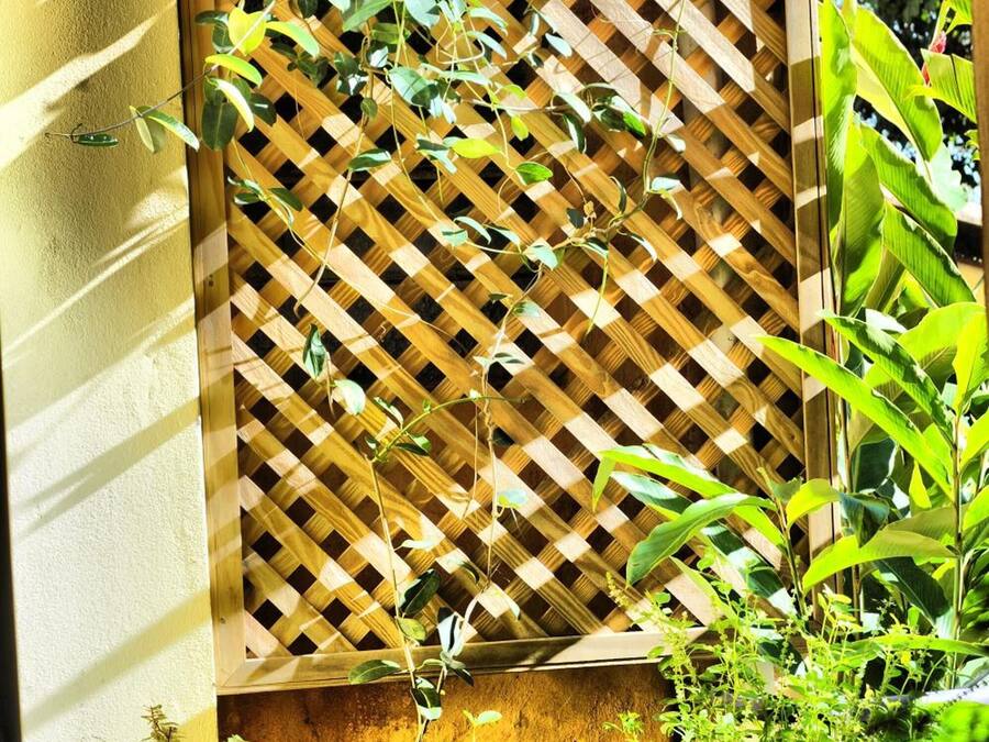 A wooden lattice panel with climbing plants, potted plants, and a wall.