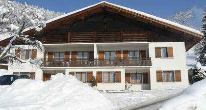 Apartment 150m from the ski lifts and the ESF and the swimming pool