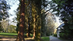 A pathway leading to a building surrounded by tall trees. - Hotel Lindenallee (Lindau)