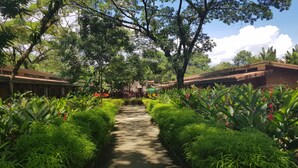Ảnh chưa phân loại, 5 trong số 36 ảnh, nút