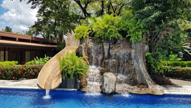 Ảnh chưa phân loại, 1 trong số 36 ảnh, nút