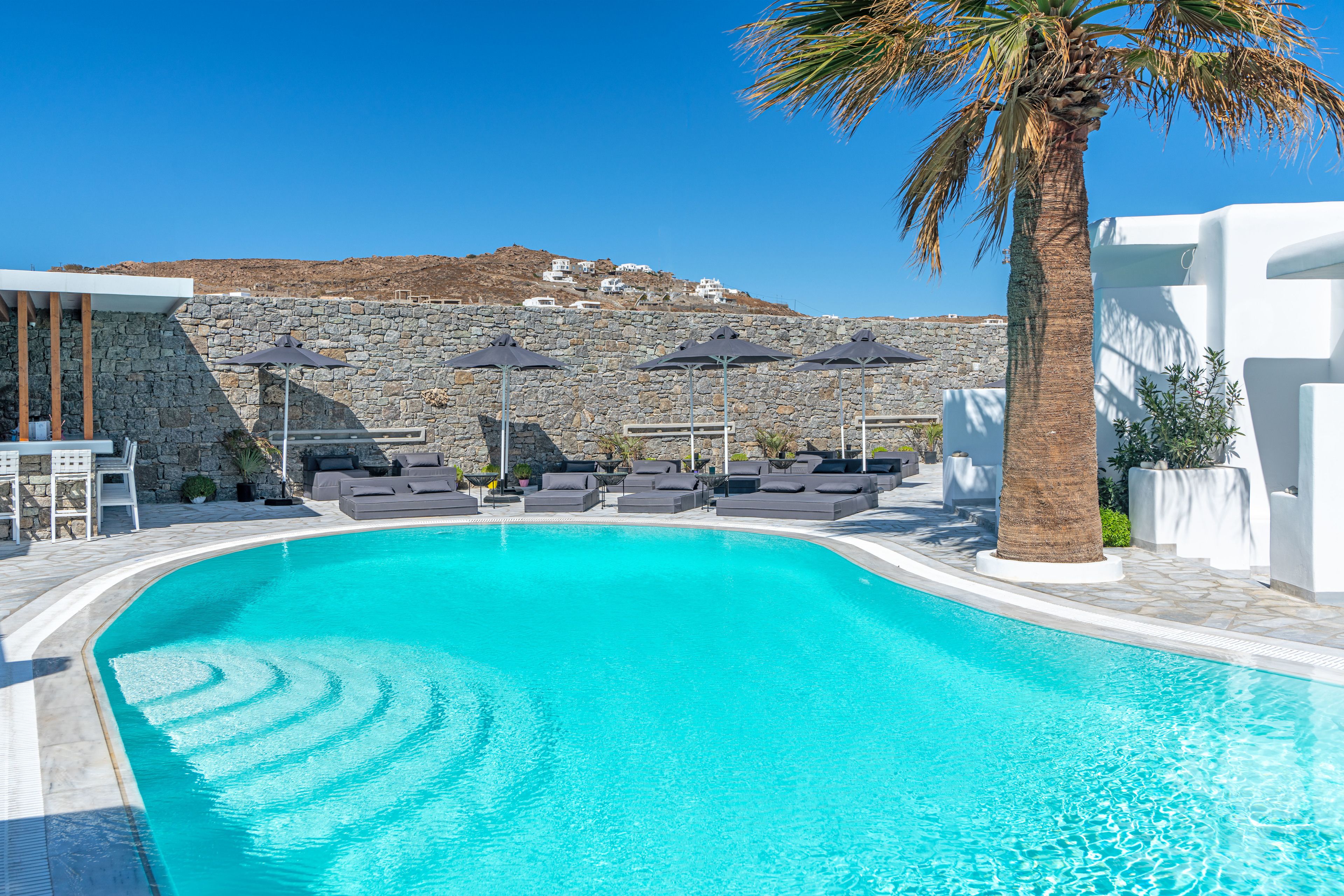 En swimmingpool med solstolar och parasoller, omgiven av vita byggnader och en palm.