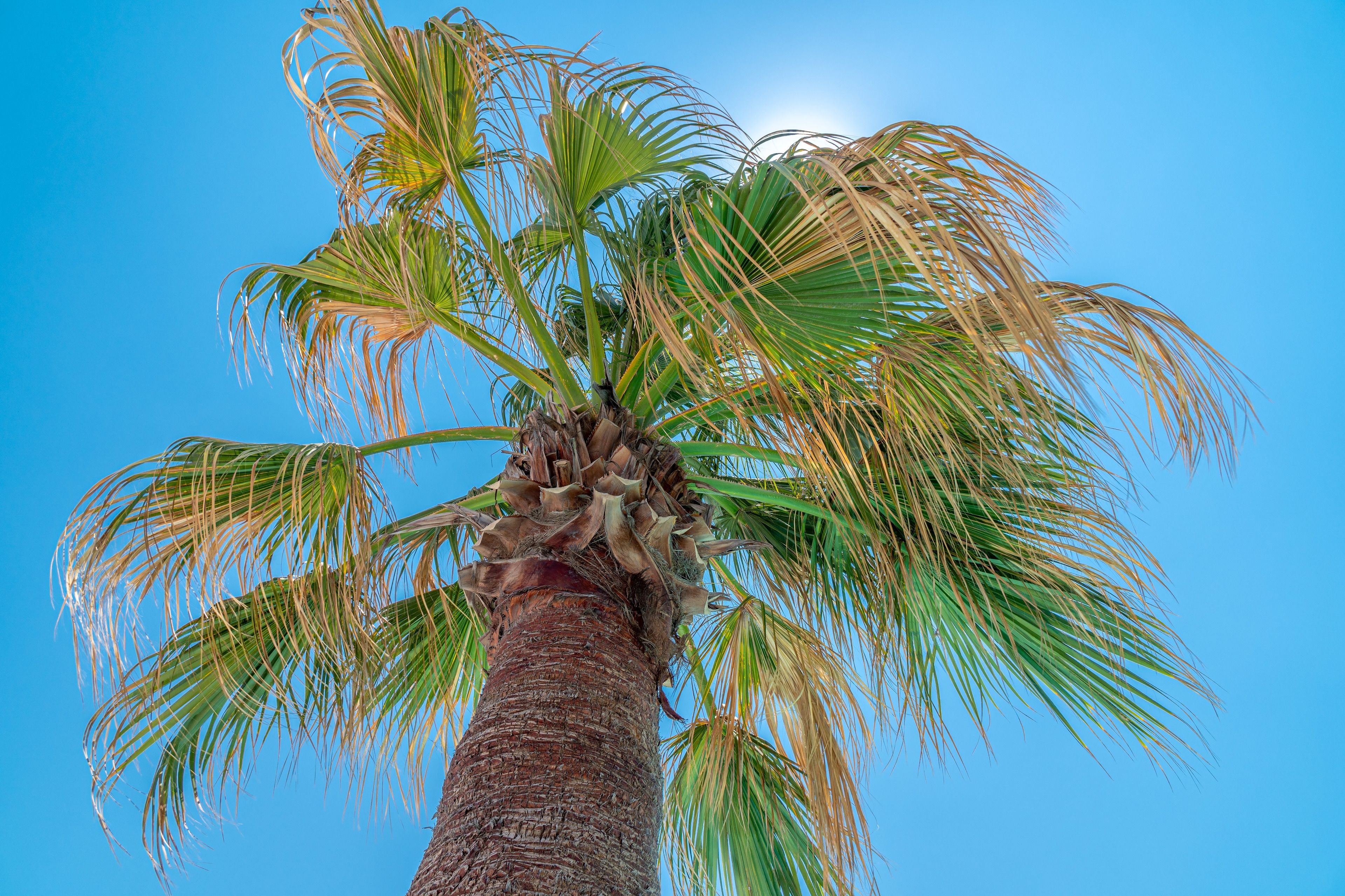 grand suite | view from room