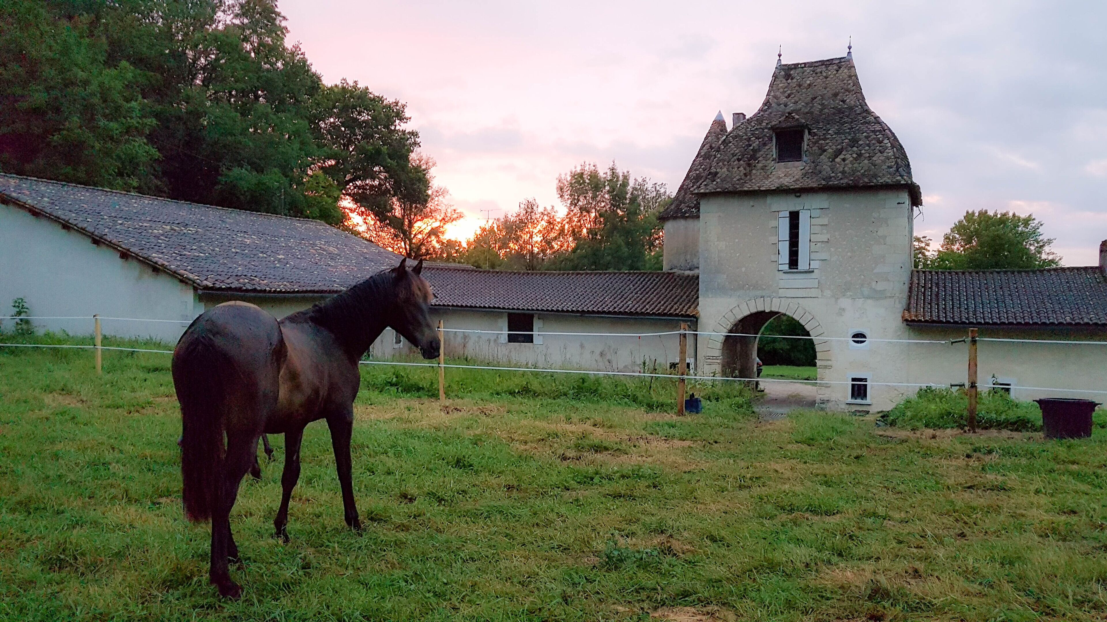 Un establo con un caballo, rodeado por una cerca y un edificio con techo de piedra.