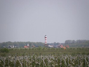 Unclassified image, 5 of 6, button