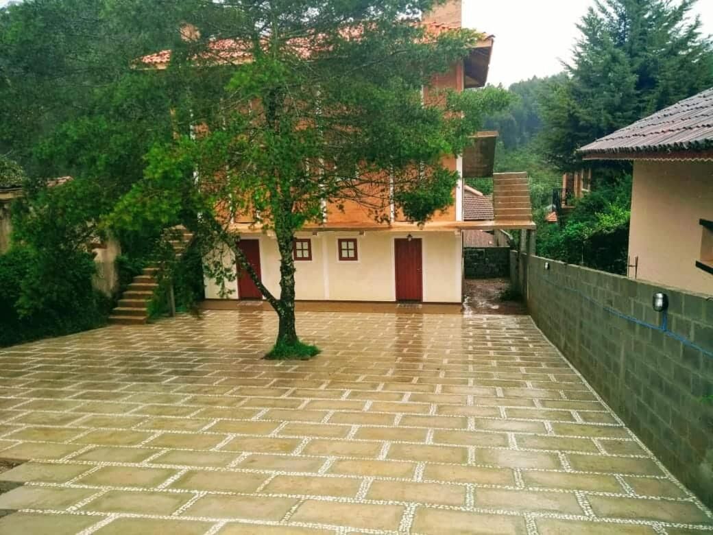 Área da propriedade