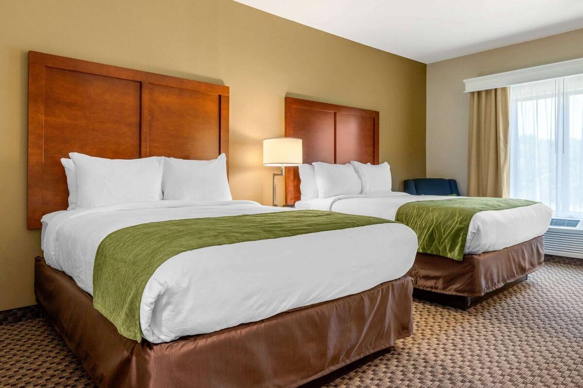A hotel room with two beds, a nightstand with a lamp, a window with curtains, and a patterned carpet.