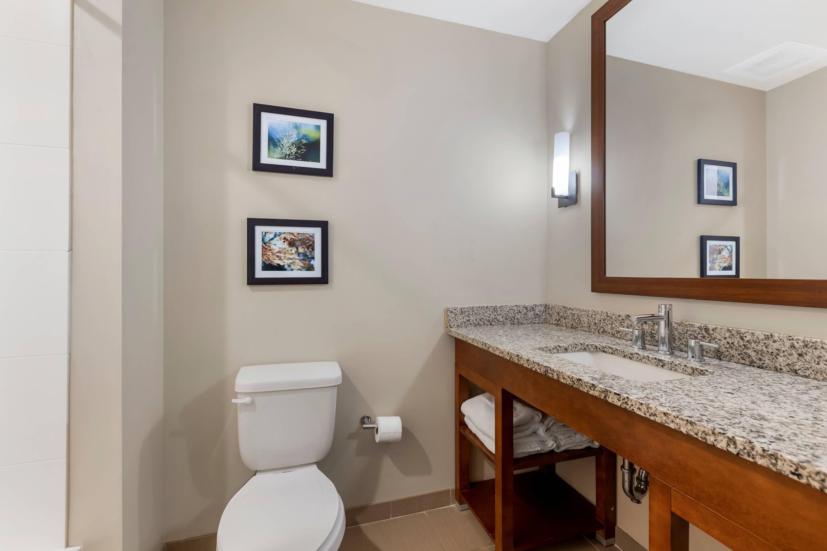 Une salle de bain avec des toilettes blanches, un lavabo sur un plan de travail en granit et deux tableaux encadrés au mur.