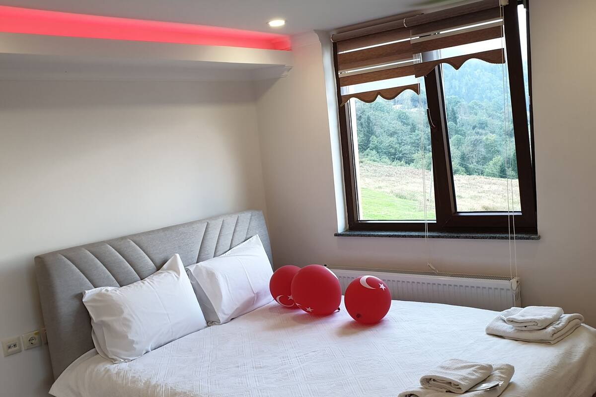 Ropa de cama de alta calidad, edredones de plumas, minibar y escritorio
