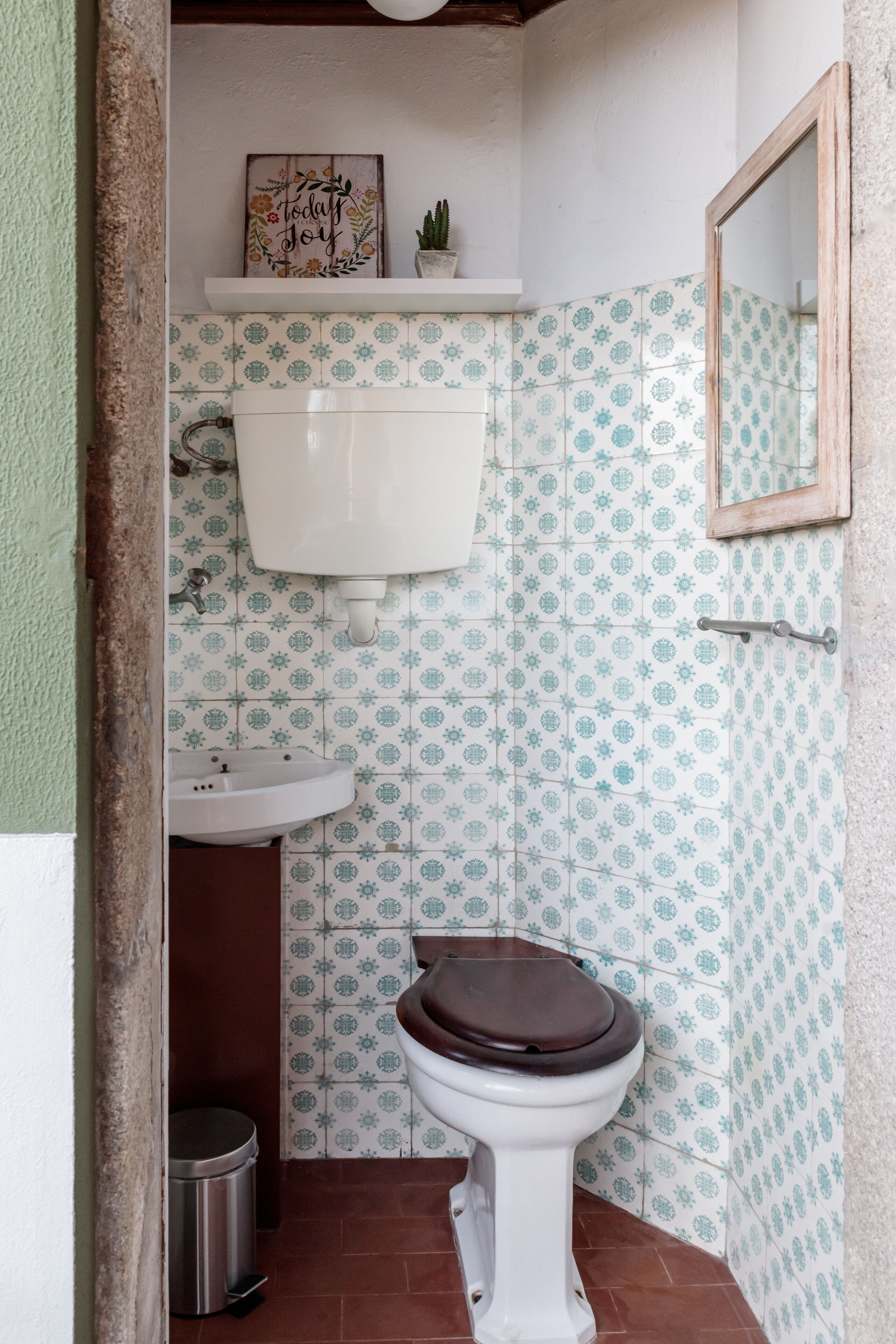 Une salle de bain avec des toilettes, un lavabo et une étagère sur laquelle se trouve un cactus.